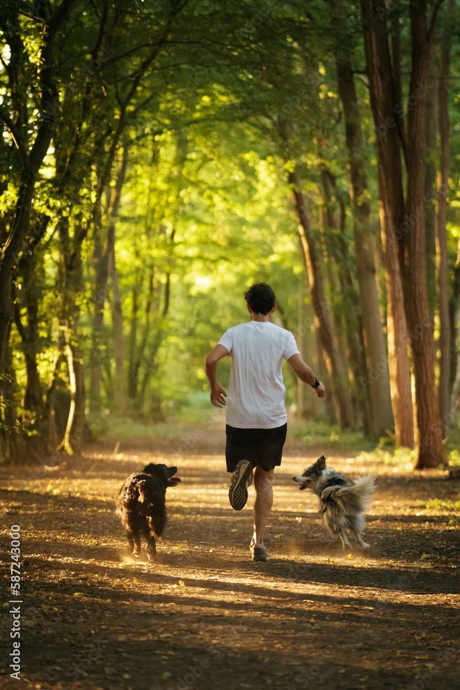 Vertical shot of a male running in a park with two Australian shepherds Vertical shot of a male running in a park with two Australian shepherds