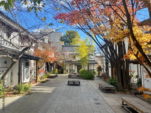 Photography voyage au Japon de tokyo à Osaka en automne