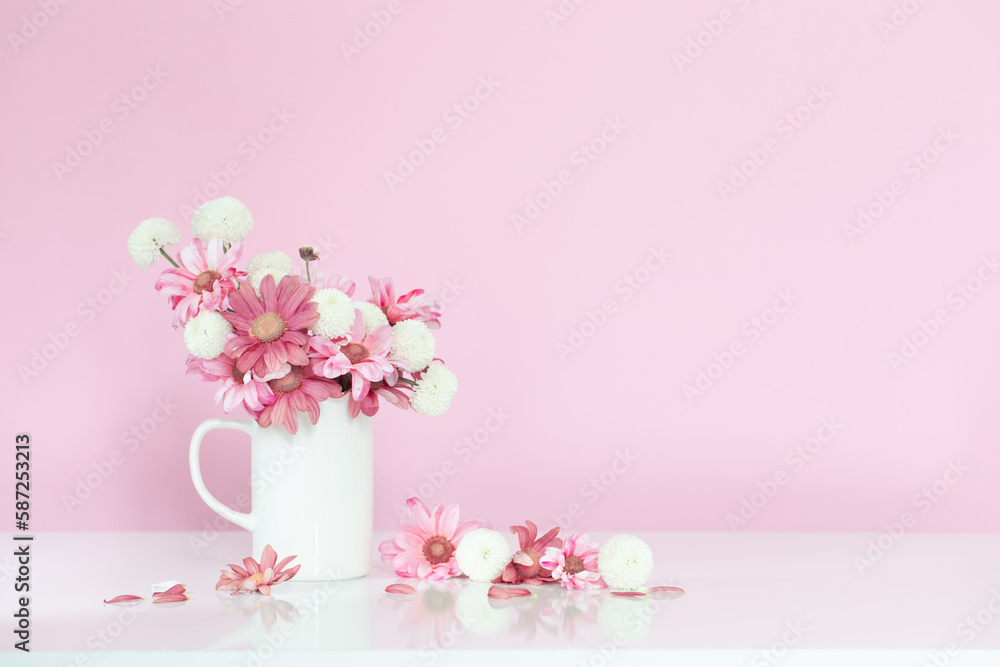 white and pink chrysanthemums in white cup on pink background white and pink chrysanthemums in white cup on pink background