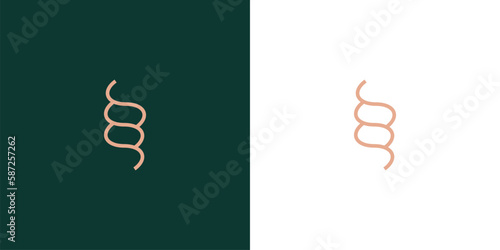 Modern and unique S logo design 2