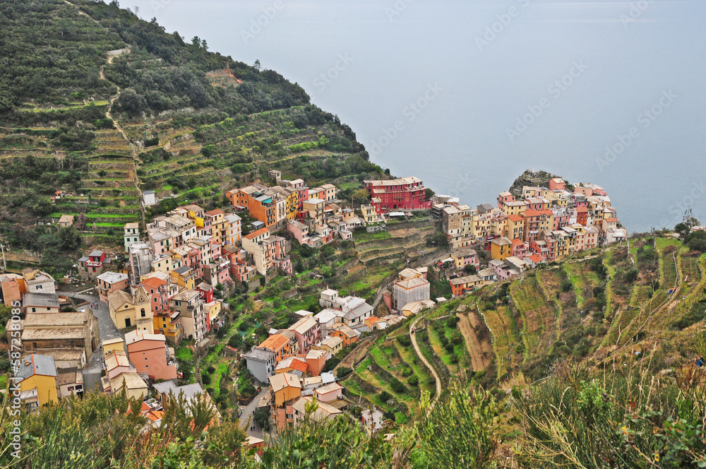 Veduta dalle cinque terre - Manarola, Liguria