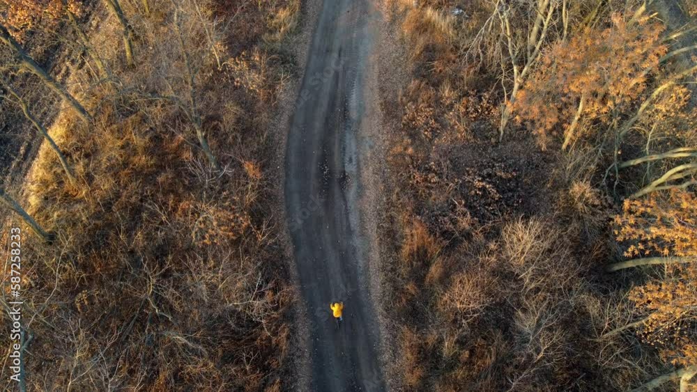 Woman in yellow jacket rides a bicycle on black dirt road between trees and agricultural fields on sunny autumn day. Woman on bicycle riding on dirt road on dirt road. Travel tourism. Top view Woman in yellow jacket rides a bicycle on black dirt road between trees and agricultural fields on sunny autumn day. Woman on bicycle riding on dirt road on dirt road. Travel tourism. Top view