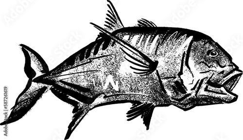 hand-drawn sketch illustration of a giant trevally fish photo