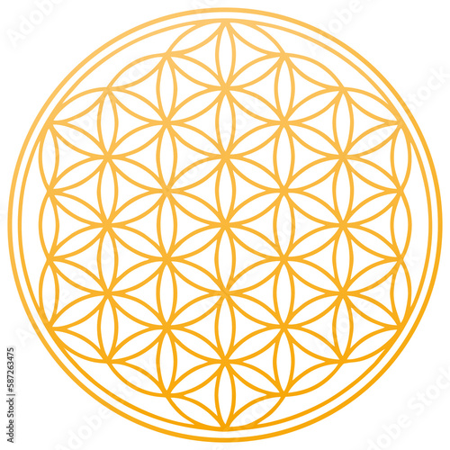 flower of life spiritual symbol orange chakra