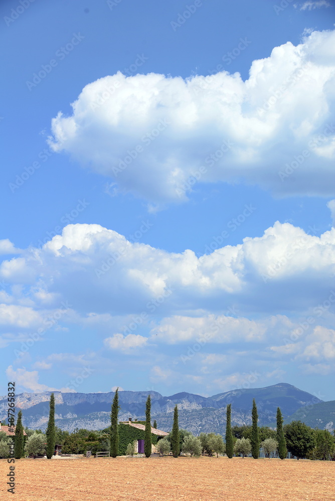 Fototapeta premium Landschaft in der Provence