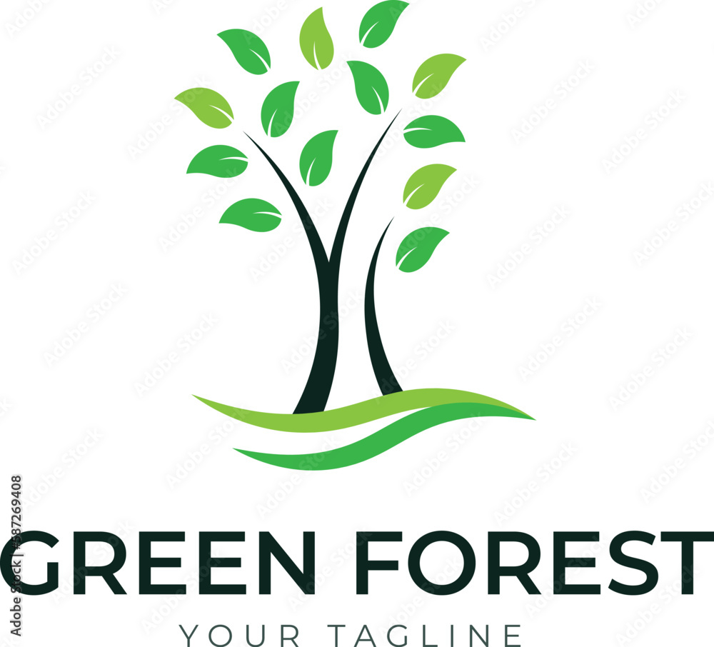 Obraz premium tree with leaves