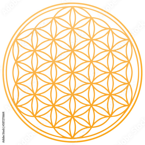 flower of life spiritual symbol orange chakra