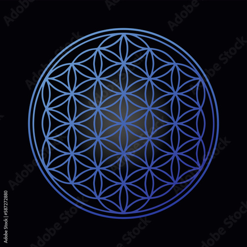 blue flower of life chakra on black background universe