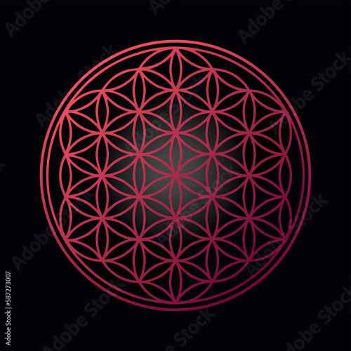Red flower of life chakra on black background universe