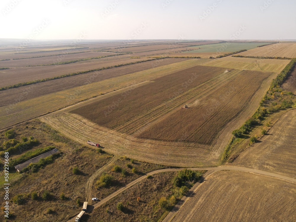 summer harwesting corn farm field ukraine 2022
