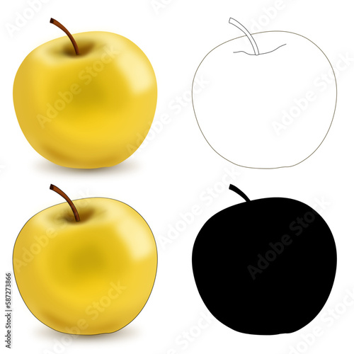 Vector yellow realistic apple with shadows and stroke isolated on white background