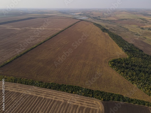 summer harwesting corn farm field ukraine 2022 photo