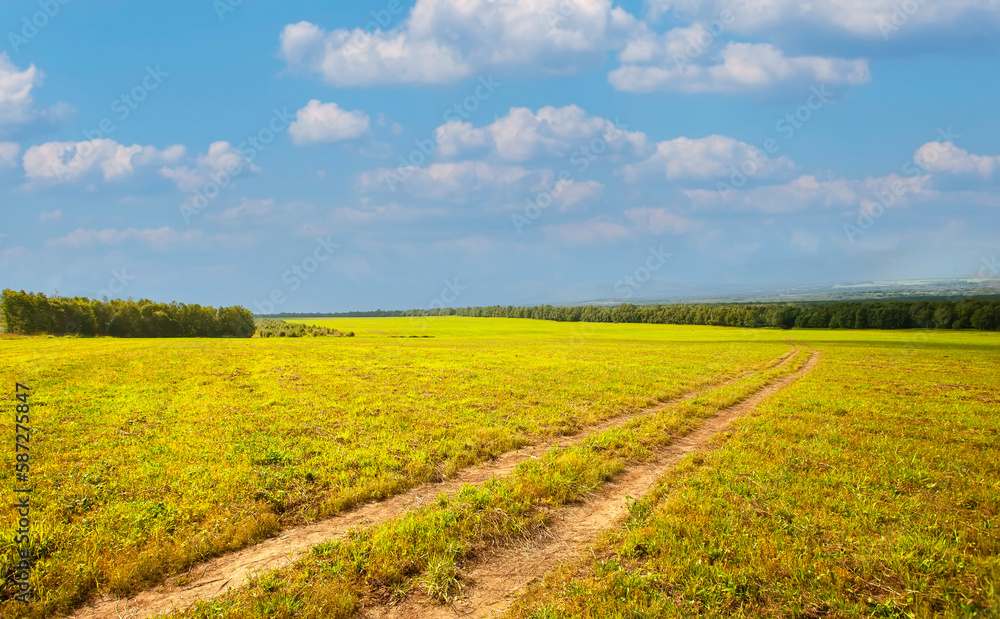 Road in the field against the blue sky in sumer