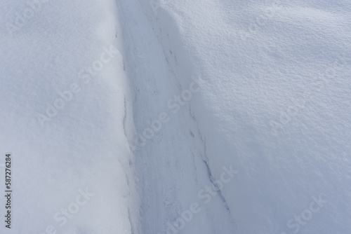 a path in the snow