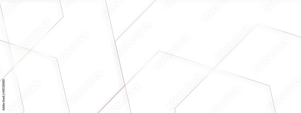 Background pattern seamless geometric line abstract gold luxury color vector, abstract luxury gold geometric random chaotic lines with many squares and triangles shape on white background.
Background pattern seamless geometric line abstract gold luxury color vector, abstract luxury gold geometric random chaotic lines with many squares and triangles shape on white background.