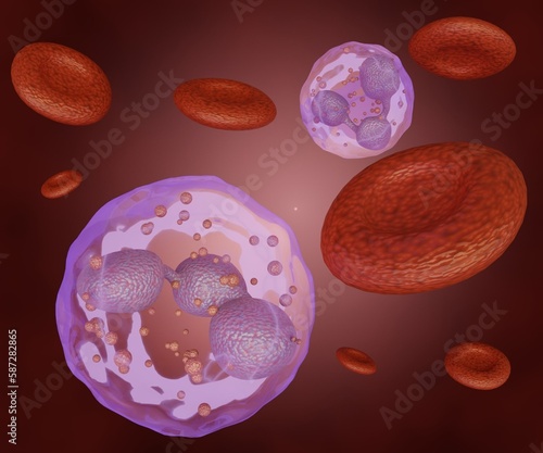Neutrophils also known as neutrocytes, heterophils or polymorphonuclear leukocytes. red blood cells and white blood cells in the blood vessel 3d rendering photo