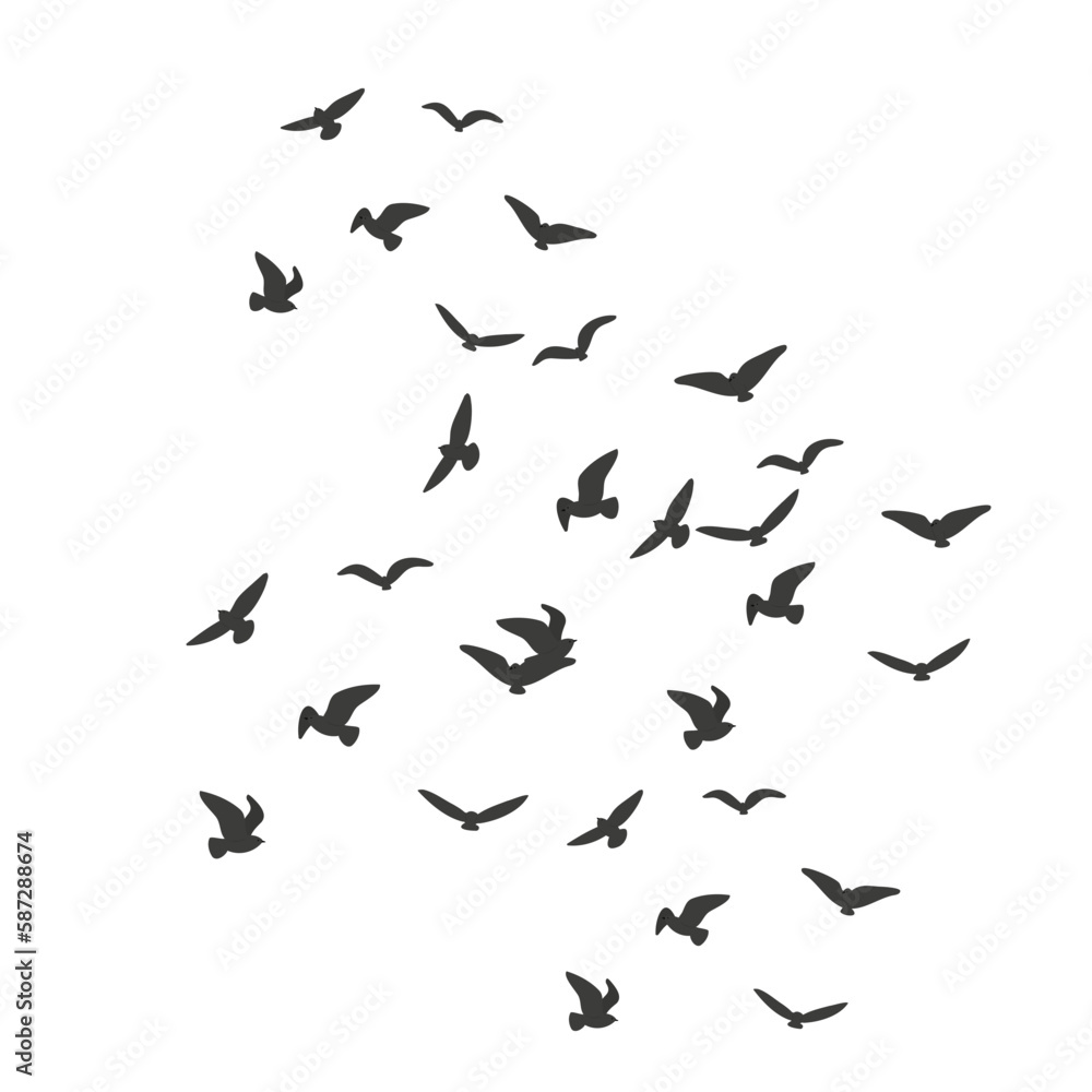 Fototapeta premium coastal landscape creator clipart set, vector woman on beach illustration, Individual PNG SVG, couple flying seagull sea lion clip art, images in flat cartoon style, Wedding Invitation, Logo Elements.