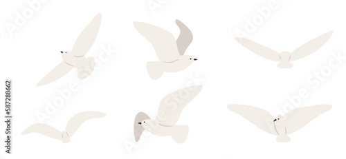 coastal landscape creator clipart set, vector woman on beach illustration, Individual PNG SVG, couple flying seagull sea lion clip art, images in flat cartoon style, Wedding Invitation, Logo Elements.