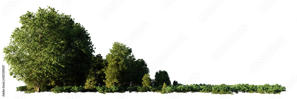 small grove, trees and bushes in an open forest, isolated on transparent background banner with empty space small grove, trees and bushes in an open forest, isolated on transparent background banner with empty space