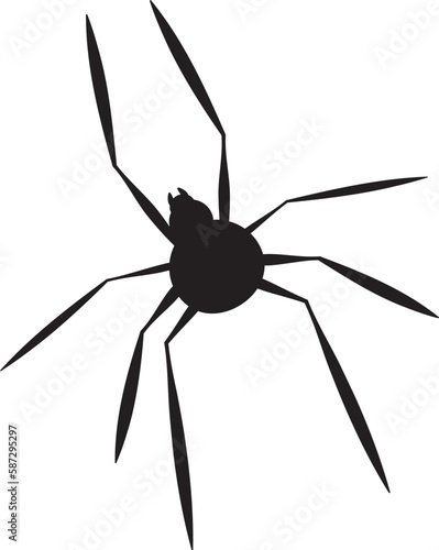 긴 다리 거미 반측면 거미 spider with long leg