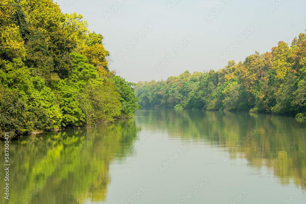picturesque and scenic view of dense sal forest reflection in sharda or sarda river at terai arc landscape in surai eco tourism zone in pilibhit tiger reserve national park bifurcation india asia picturesque and scenic view of dense sal forest reflection in sharda or sarda river at terai arc landscape in surai eco tourism zone in pilibhit tiger reserve national park bifurcation india asia