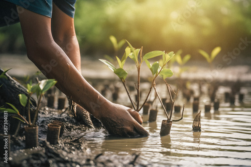 Restoring the Coastline: Community Engagement in Planting Mangroves for Environment Conservation and Habitat Restoration on Earth Day, Promoting Sustainability. Earth day