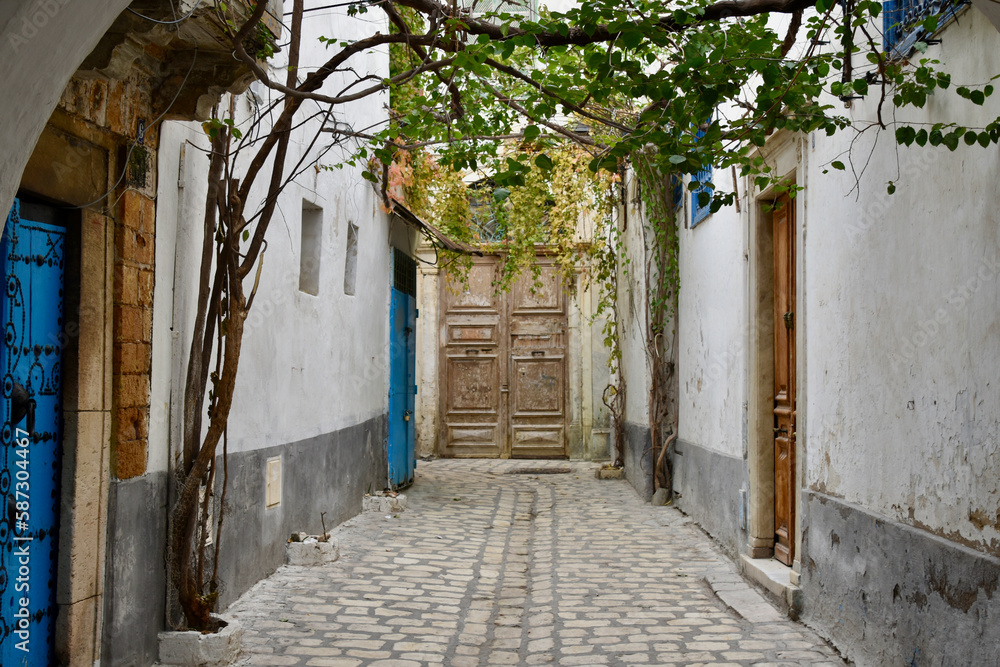 Tree-Shaded Alley in Tunis Medina
