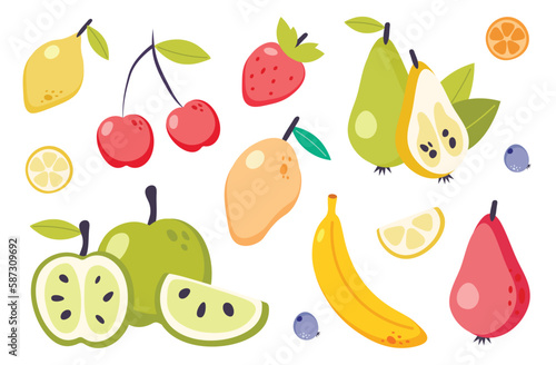 Summer fruit collection. Set of fresh tropical and garden fruits doodle, organic biological vegan food. Cute cartoon vector illustration