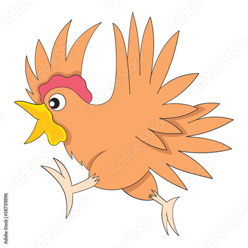 chicken fowl animal is running scared