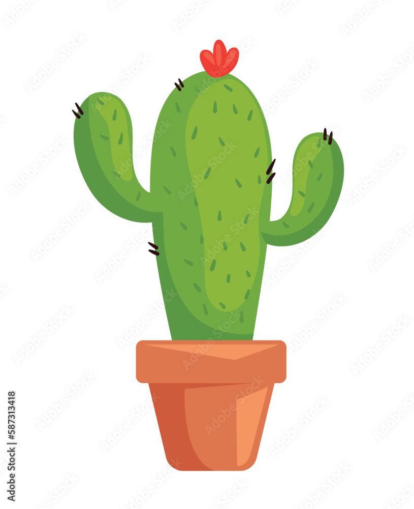 Vector illustration of cactus plant Vector illustration of cactus plant