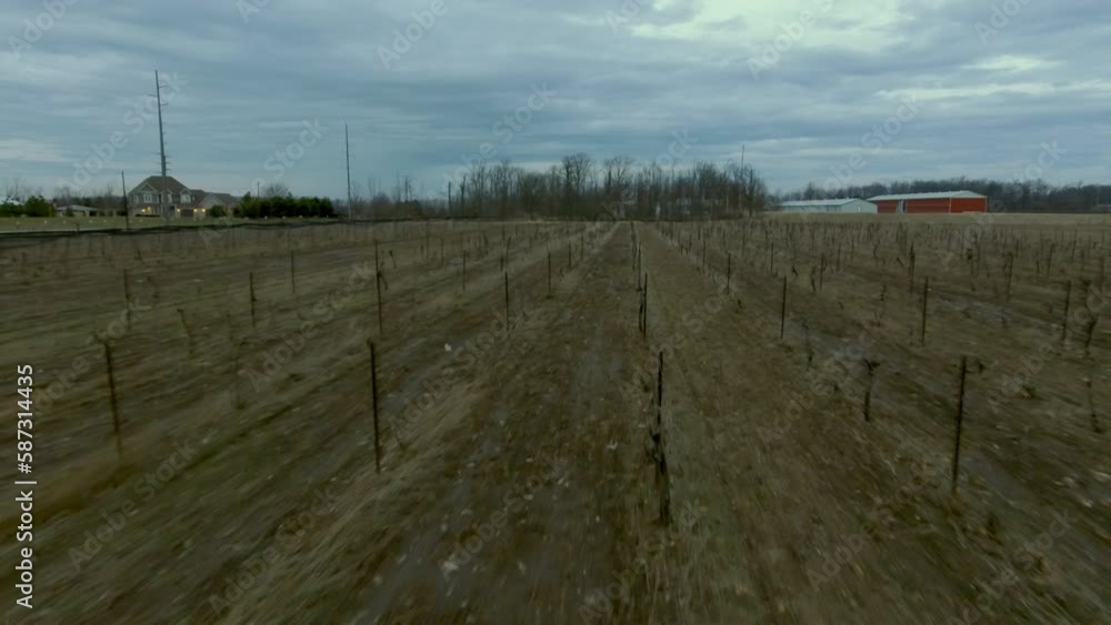 Landscape of agricultural field Landscape of agricultural field