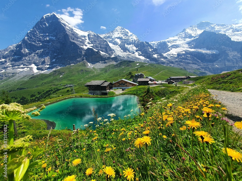 Obraz premium Beautiful panorama in the Swiss Alps
