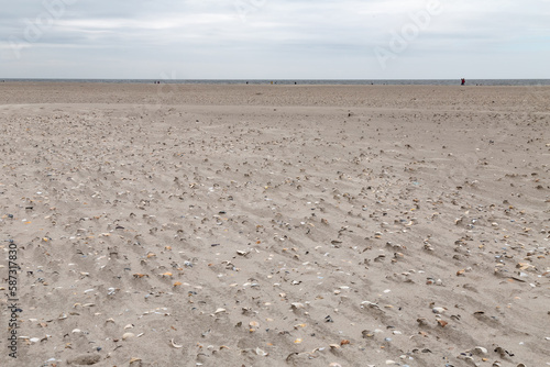 beach with shells in St. Peter-Ording, North Friesland, Schleswig-Holstein, Germany, Europe