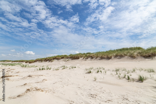 Dune landscape  in St. Peter-Ording, North Friesland, Schleswig-Holstein, Germany, Europe