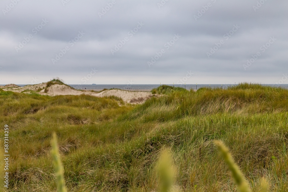 Dune landscape overlooking a beach in St. Peter-Ording, North Friesland, Schleswig-Holstein, Germany, Europe