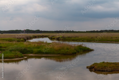 salt meadow in St. Peter-Ording, North Friesland, Schleswig-Holstein, Germany, Europe