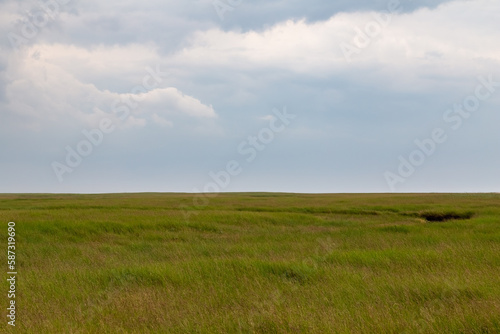 salt meadow in St. Peter-Ording, North Friesland, Schleswig-Holstein, Germany, Europe