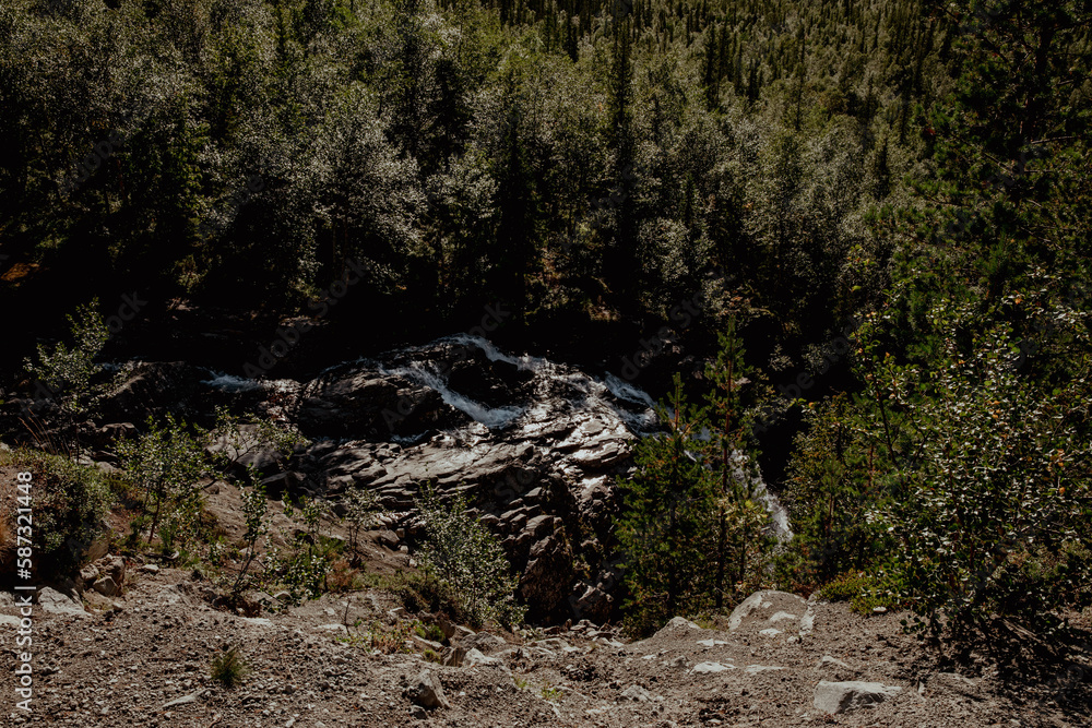 Waterfall among the pine forest flow from the mountain Waterfall among the pine forest flow from the mountain