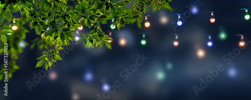 colorful bright string lights decoration in foliage tree for illumination of summer night sky, summer events background concept  with copy space