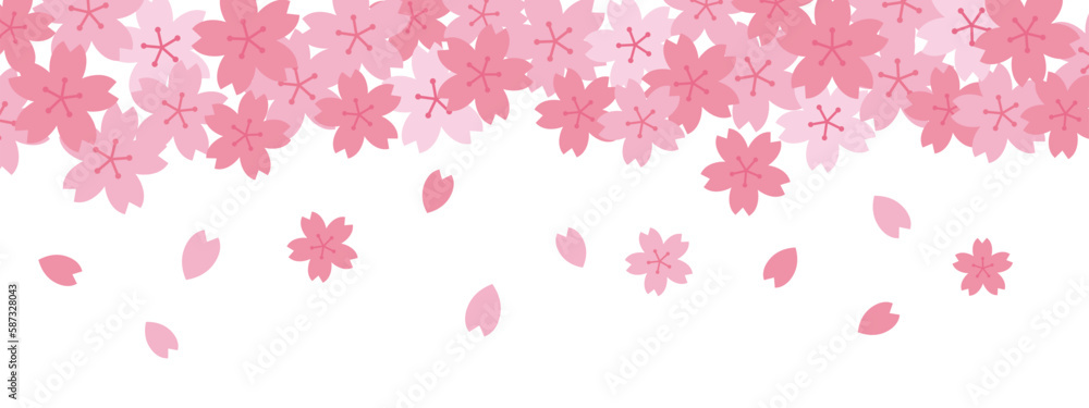 満開の桜の花と花びら 満開の桜の花と花びら