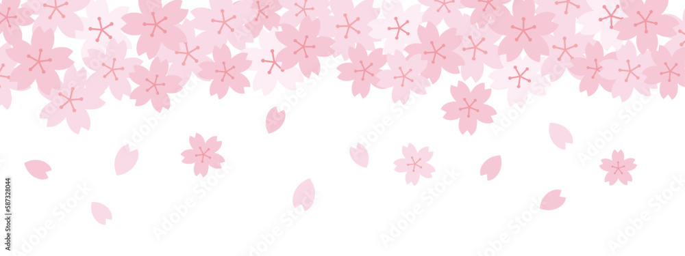 満開の桜の花と花びら