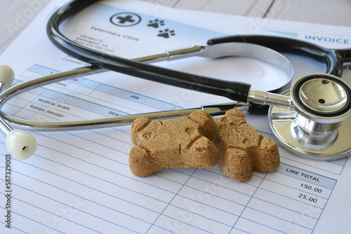 Vet veterinarian bill invoice with stethoscope and dog treats. Medical cost of pets concept photo