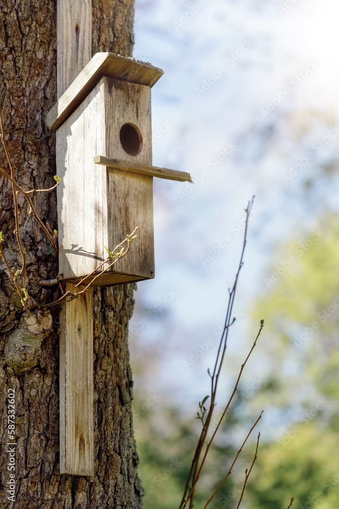 Handmade birds wooden nest box on the background of spring rays with free space for text.