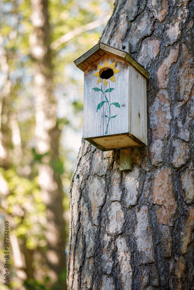 Birdhouse on a tree. A nest box, (nestbox) birdhouses or a birdbox, bird box, is a man-made enclosure provided for animals to nest in. Klaipeda, Lithuania.