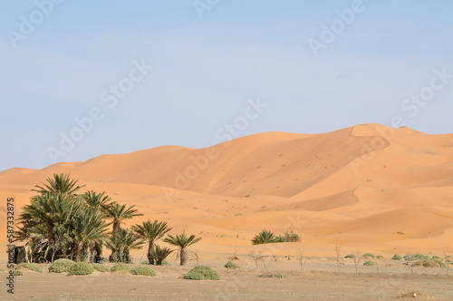 Oasis con palmeras y dunas en el desierto de Erg Chebbi en Marruecos