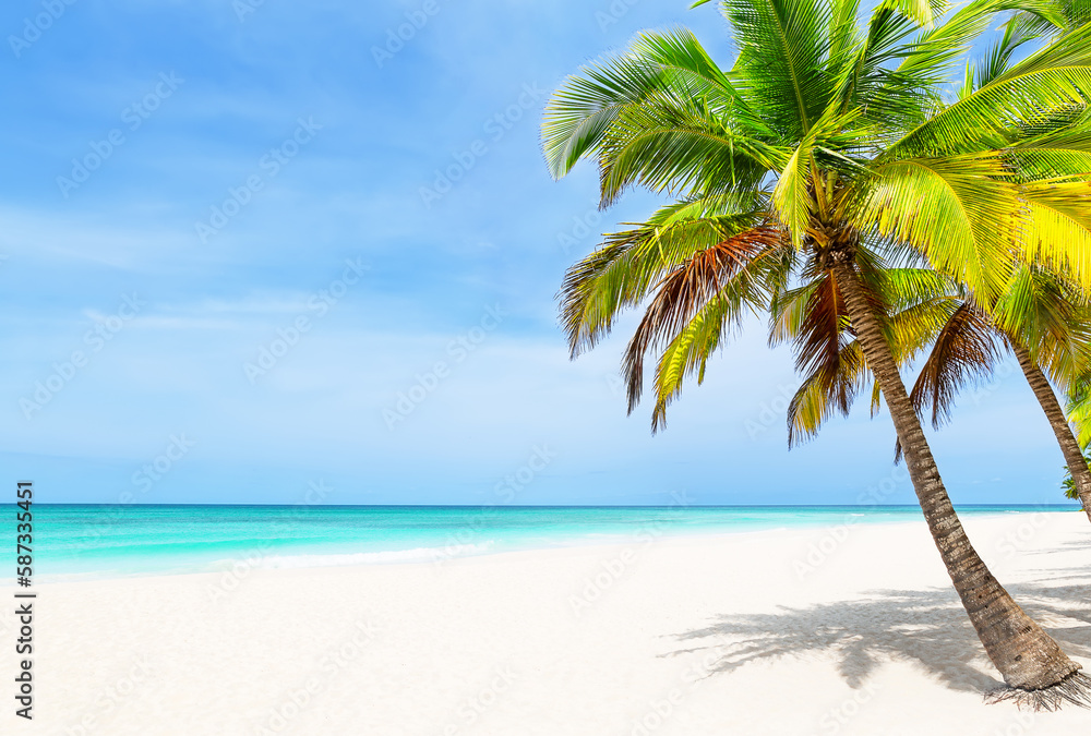 Tropical white sand beach with coconut palm trees and turquoise blue water in Punta Cana, Dominican Republic. Tropical white sand beach with coconut palm trees and turquoise blue water in Punta Cana, Dominican Republic.