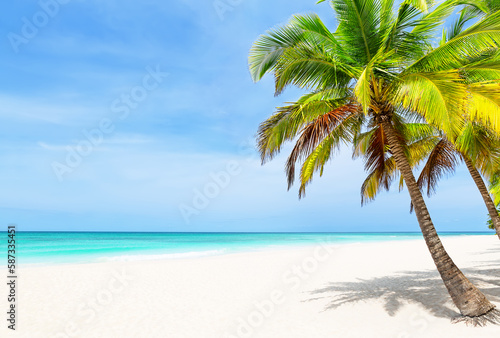 Tropical white sand beach with coconut palm trees and turquoise blue water in Punta Cana, Dominican Republic.