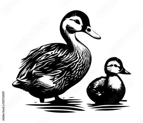 Duck With Duckling, Mom and baby duck, Duck swimming in the lake illutration