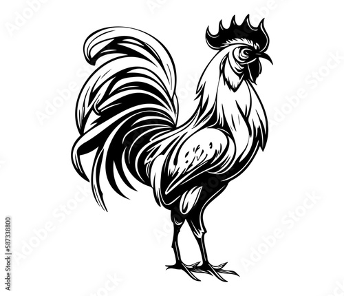Chicken cock Rooster, Chickens roosters, Farm Animal illustration 