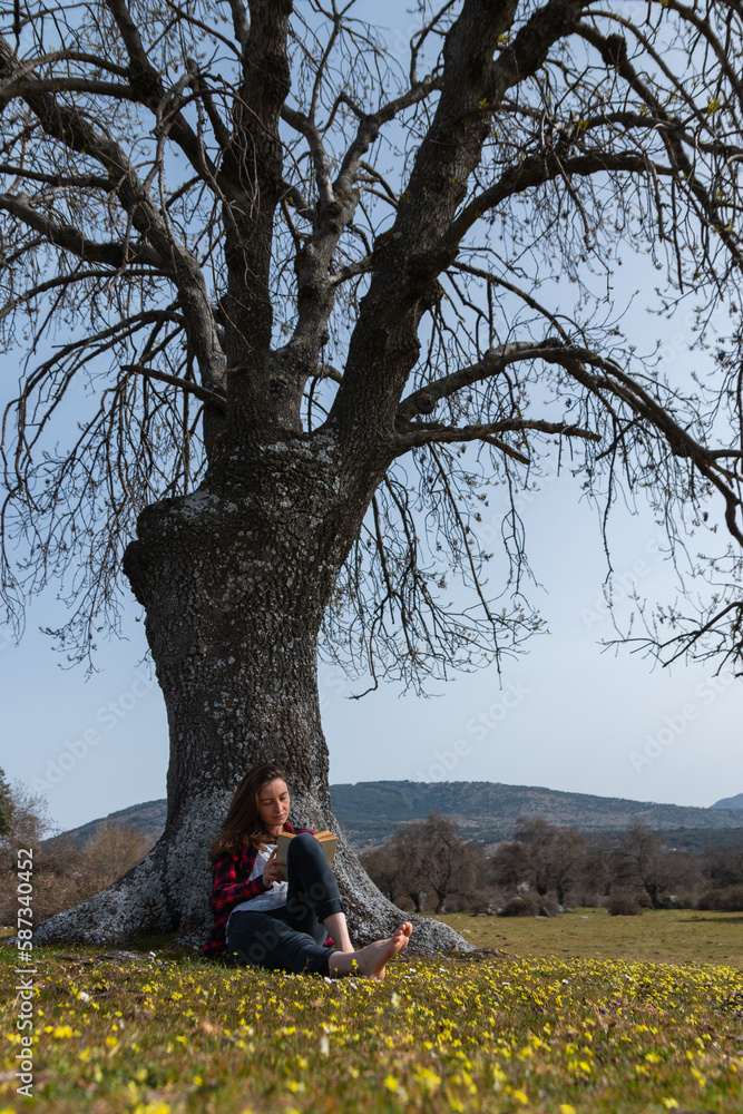 Vertical image of a young beautiful woman leaning against the trunk of a tree reading a book sitting in a meadow with flowers Vertical image of a young beautiful woman leaning against the trunk of a tree reading a book sitting in a meadow with flowers